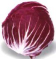 /album/fotogaleria-inicio/achicoria-roja-jpg1/